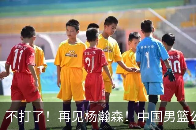 不打了！再见杨瀚森！中国男篮公布12人名单